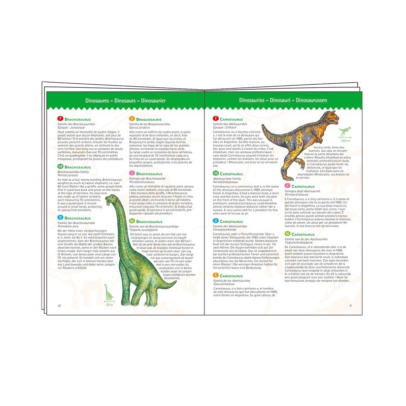 Puzzle 100 pièces observation Dinosaures 07424 Djeco