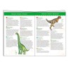 Puzzle 100 pièces observation Dinosaures 07424 Djeco