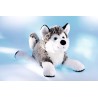 Peluche Chien Husky 47425 Schaffer