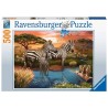 Puzzle 500 pièces Zèbres au point d'eau 12000365 Ravensburger