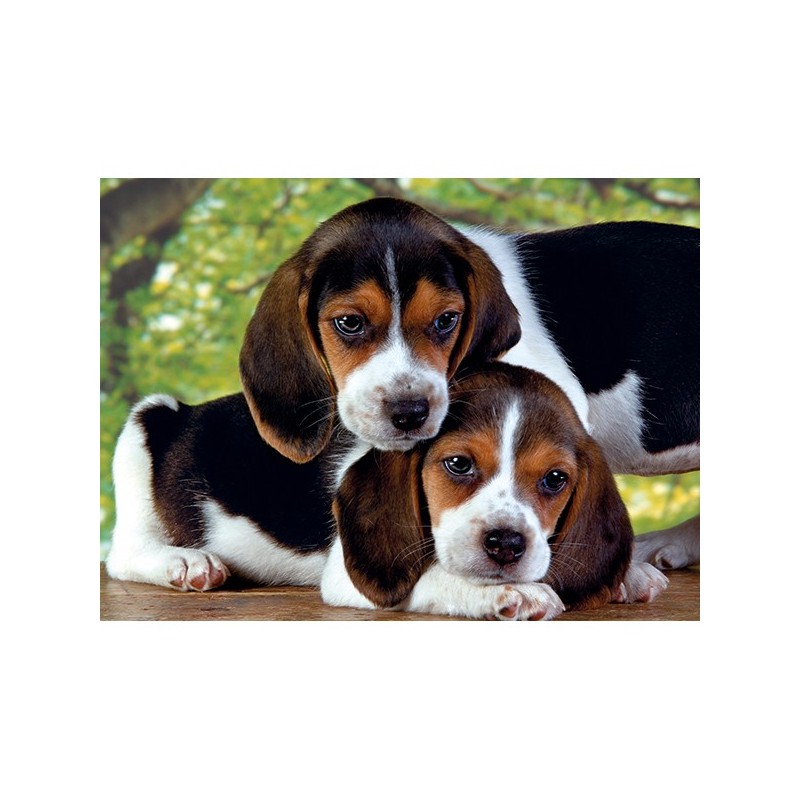 Puzzle 500 pièces Chiens 30289 Clementoni