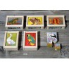 Cubes puzzle en bois 6 pièces Animaux sur fond coloré 606 Atelier Fischer