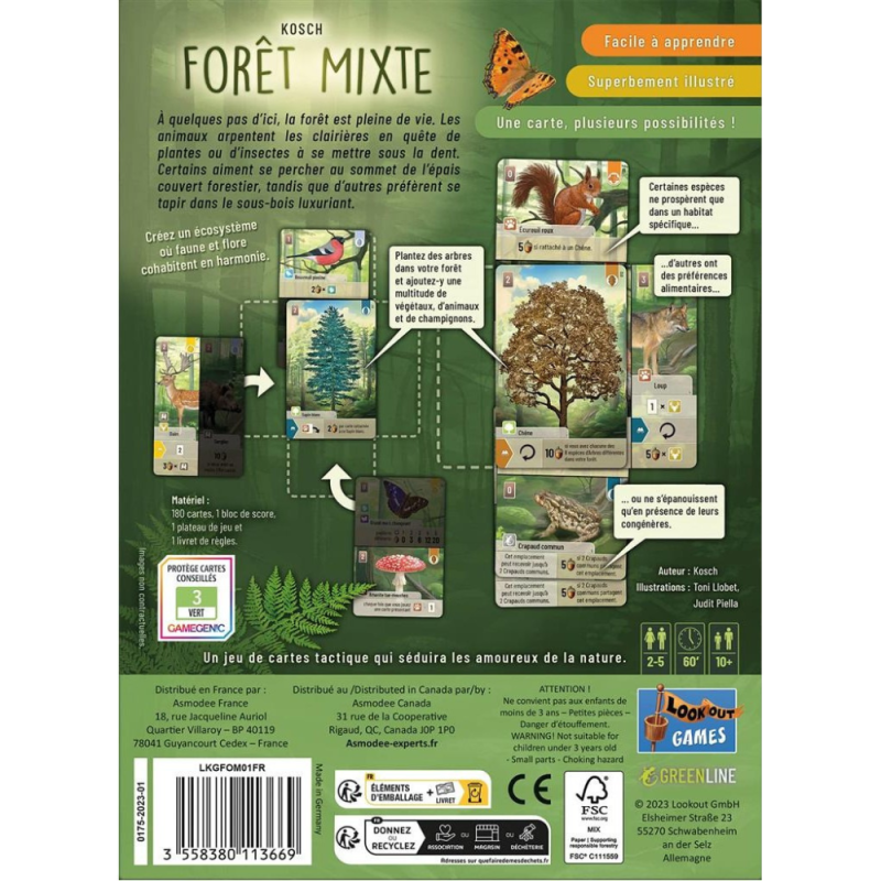 Forêt Mixte