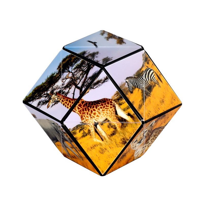 Shashibo Cube Savanna