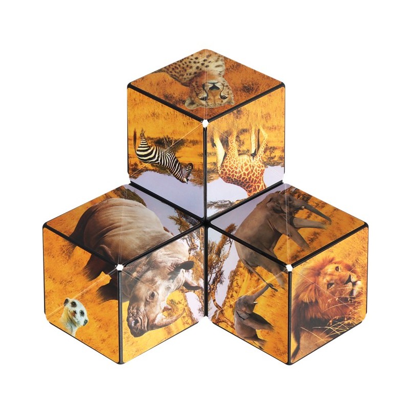 Shashibo Cube Savanna