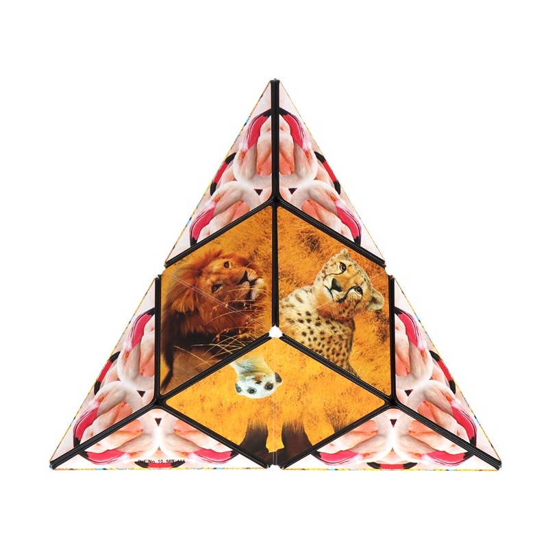 Shashibo Cube Savanna