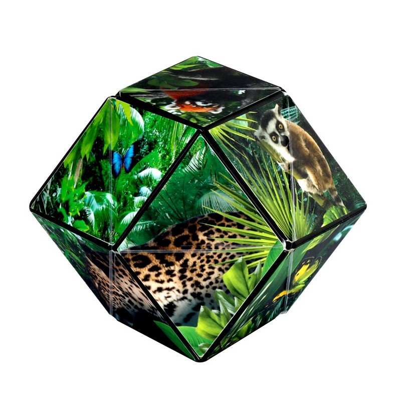 Shashibo Cube Jungle