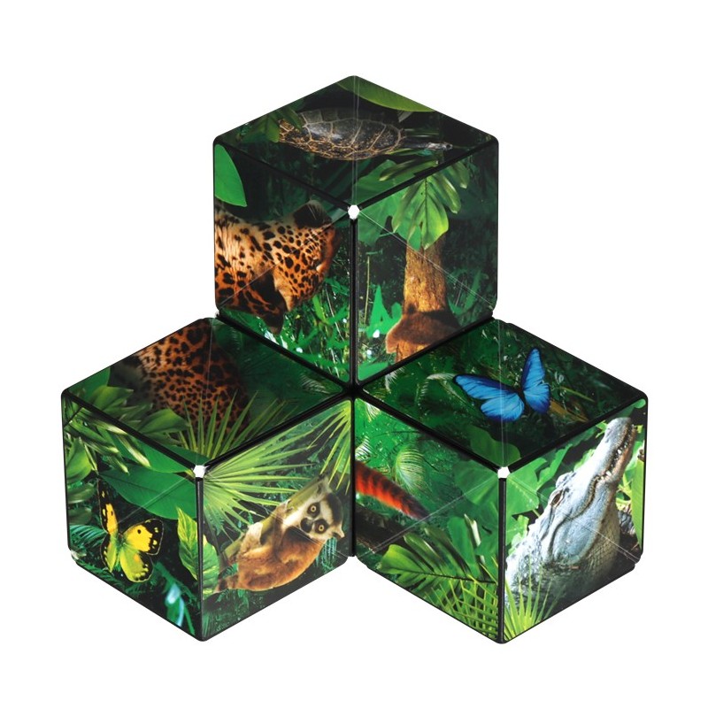 Shashibo Cube Jungle