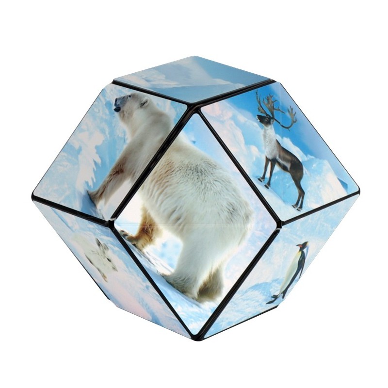 Shashibo Cube Arctic