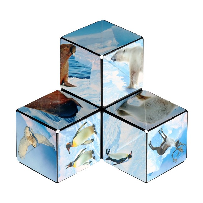 Shashibo Cube Arctic