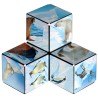 Shashibo Cube Arctic