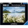 Puzzle 1000 pièces Bachalpsee Grindelwald Beautiful Switzerland 12001309 Ravensburger