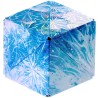 Shashibo Cube Polar
