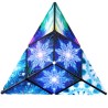 Shashibo Cube Polar