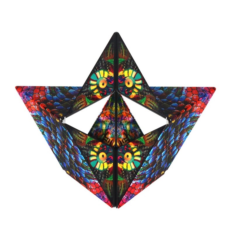 Shashibo Cube Chameleon