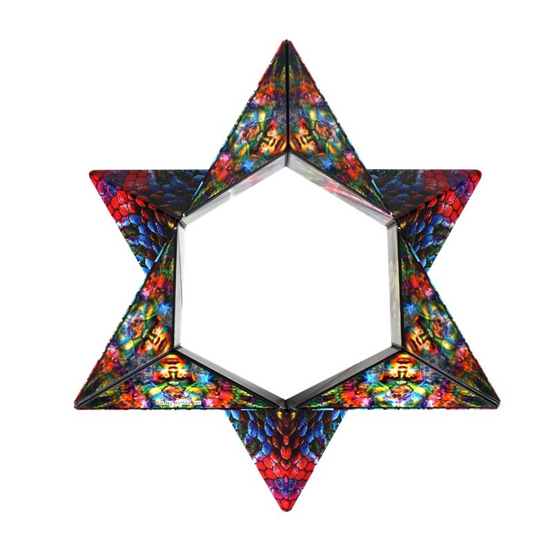 Shashibo Cube Chameleon