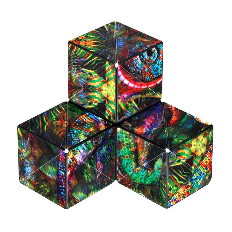 Shashibo Cube Chameleon