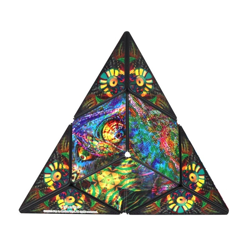 Shashibo Cube Chameleon