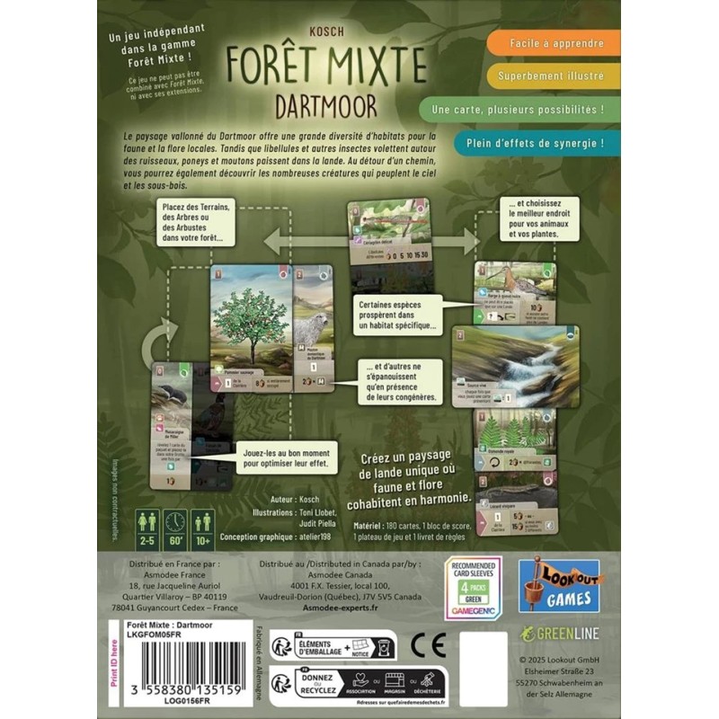 Forêt Mixte Dartmoor