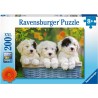Puzzle 200 pièces Chiots Mignons 12765 Ravensburger