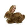 Peluche Lapin Brun couché 15.182.010 WWF