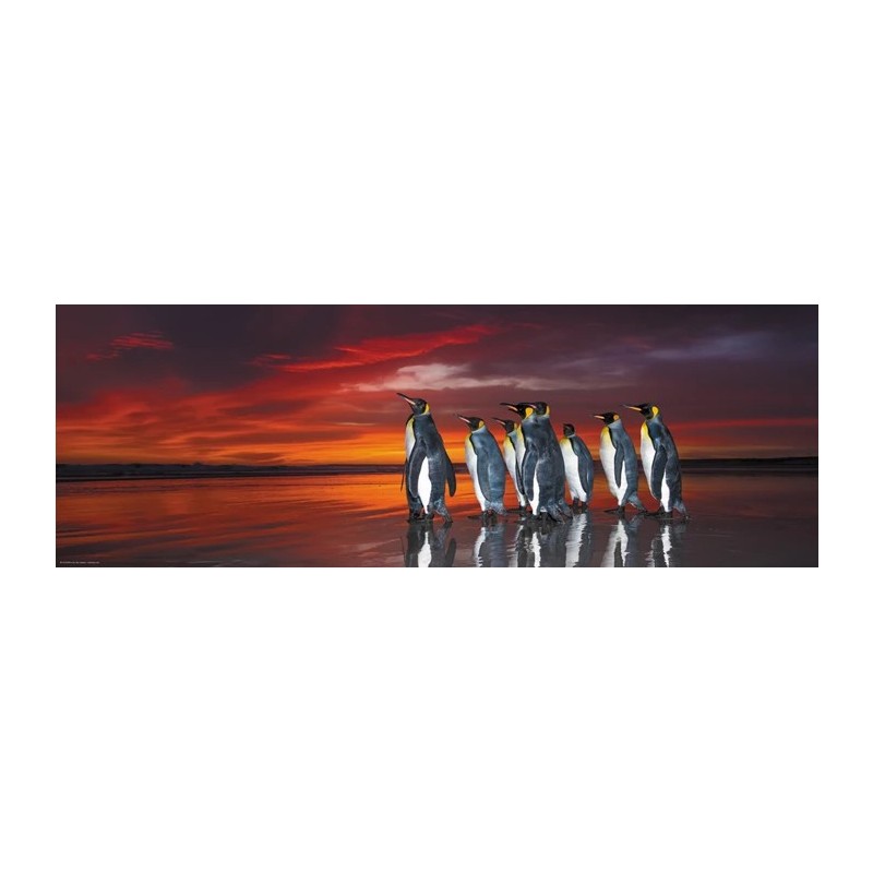 Puzzle 1000 pièces King Penguins Panorama 29858 Heye
