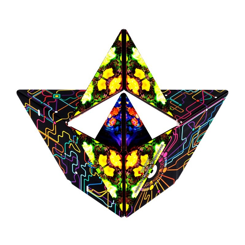 Shashibo Cube Artist Series QDOT Map