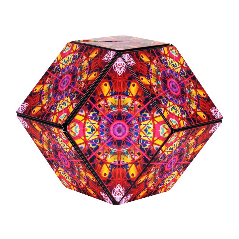 Shashibo Cube Artist Series QDOT Map