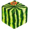 Shashibo Cube Hyper Melon