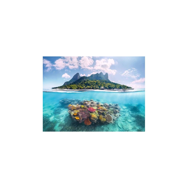 Puzzle 500 pièces Paysage Aquatique Insulaire 12001798 Ravensburger