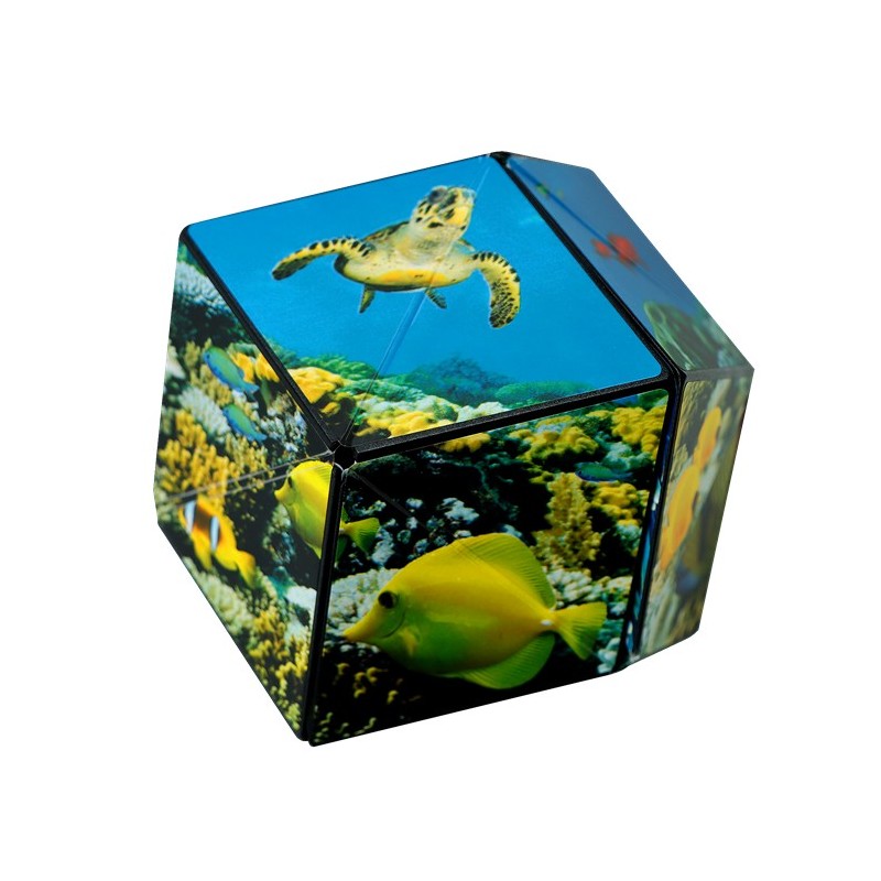 Shashibo Cube Undersea
