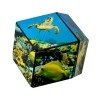 Shashibo Cube Undersea