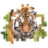Puzzle 1000 pièces Tigre 37101 Clementoni